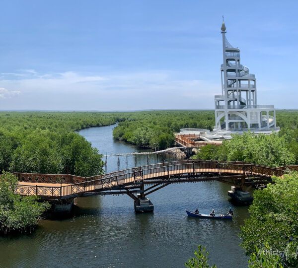 Hutan-Mangrove-Langsa