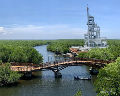 Hutan Manggrove