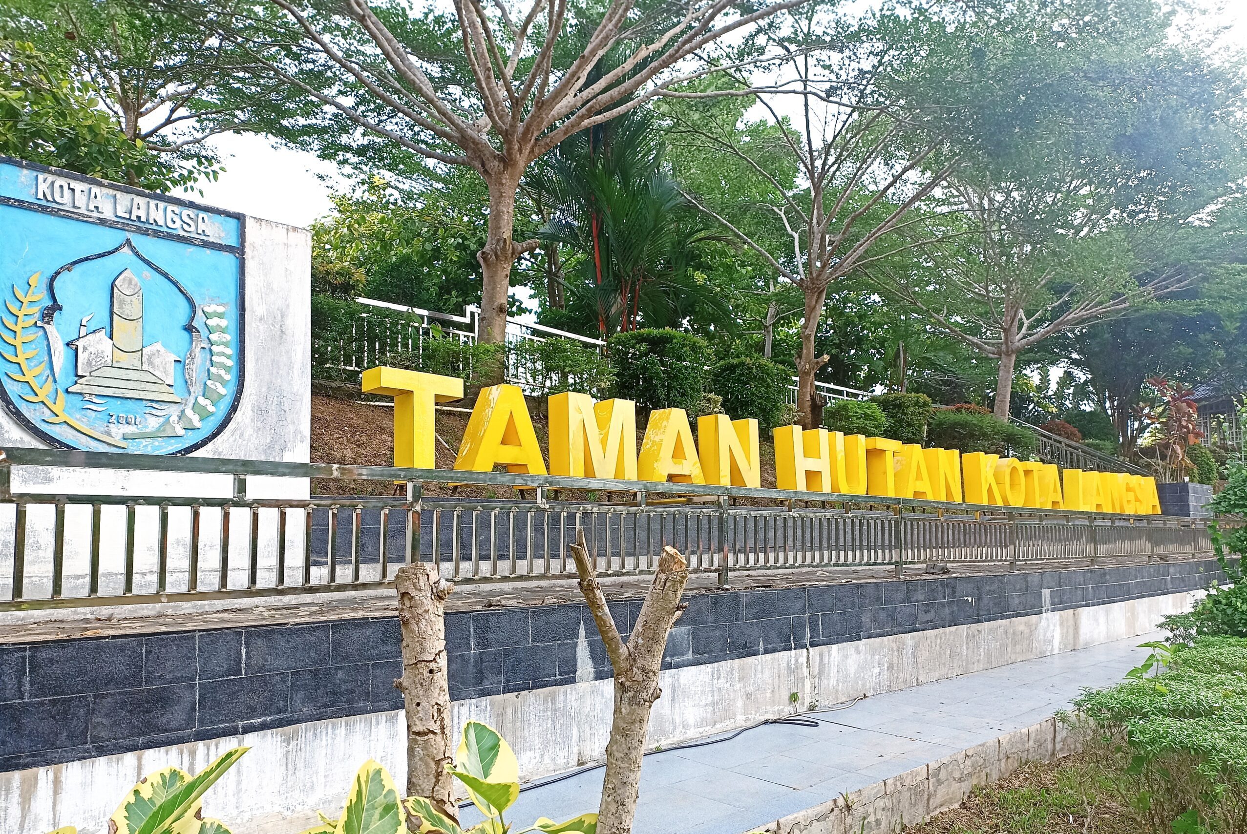 Hutan Kota: Membangun Keseimbangan antara Alam dan Perkotaan