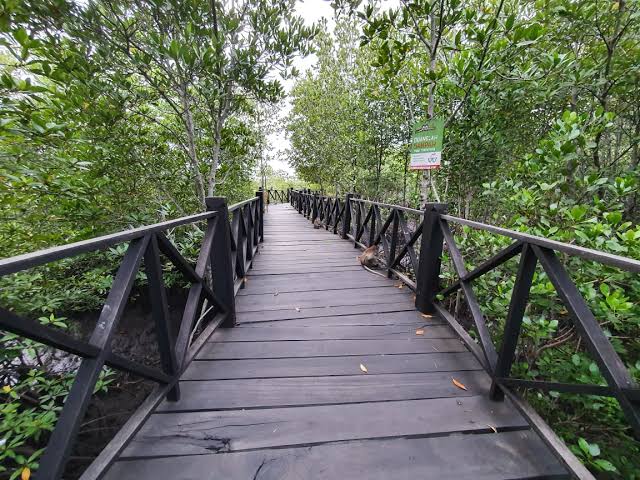 Ekowisata: Menggabungkan Wisata dan Konservasi Alam untuk Keberlanjutan