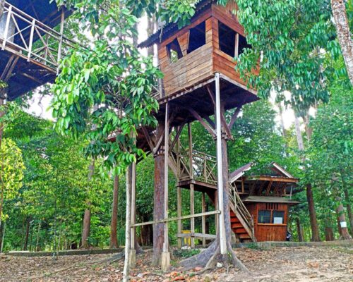 Hutan Lindung