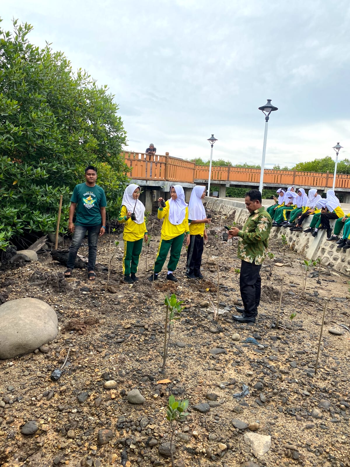 Pelajar MIN 2 Aceh Tamiang Lakukan Aksi Penanaman Bibit Mangrove