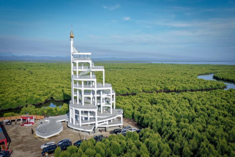 Ekowisata Hutan Mangrove: Menjelajahi Keindahan Alam Sambil Menjaga Lingkungan