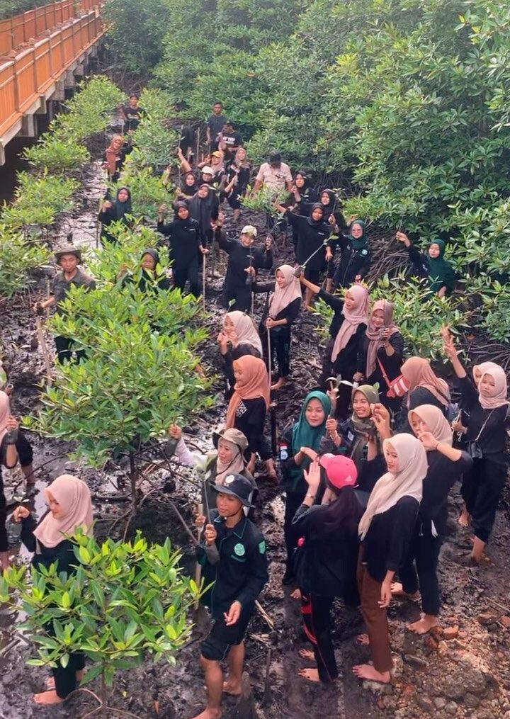 Penanaman bibit mangrove di Ekowisata Hutan Mangrove Kota Langsa oleh HIMABIO UNSAM (Himpunan Mahasiswa Biologi Universitas Samudra)